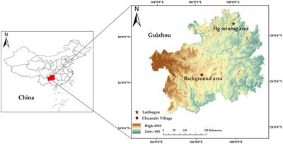 Heavy metal contamination in duck eggs from a mercury mining area, southwestern China